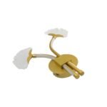 براكيت 2057  GD