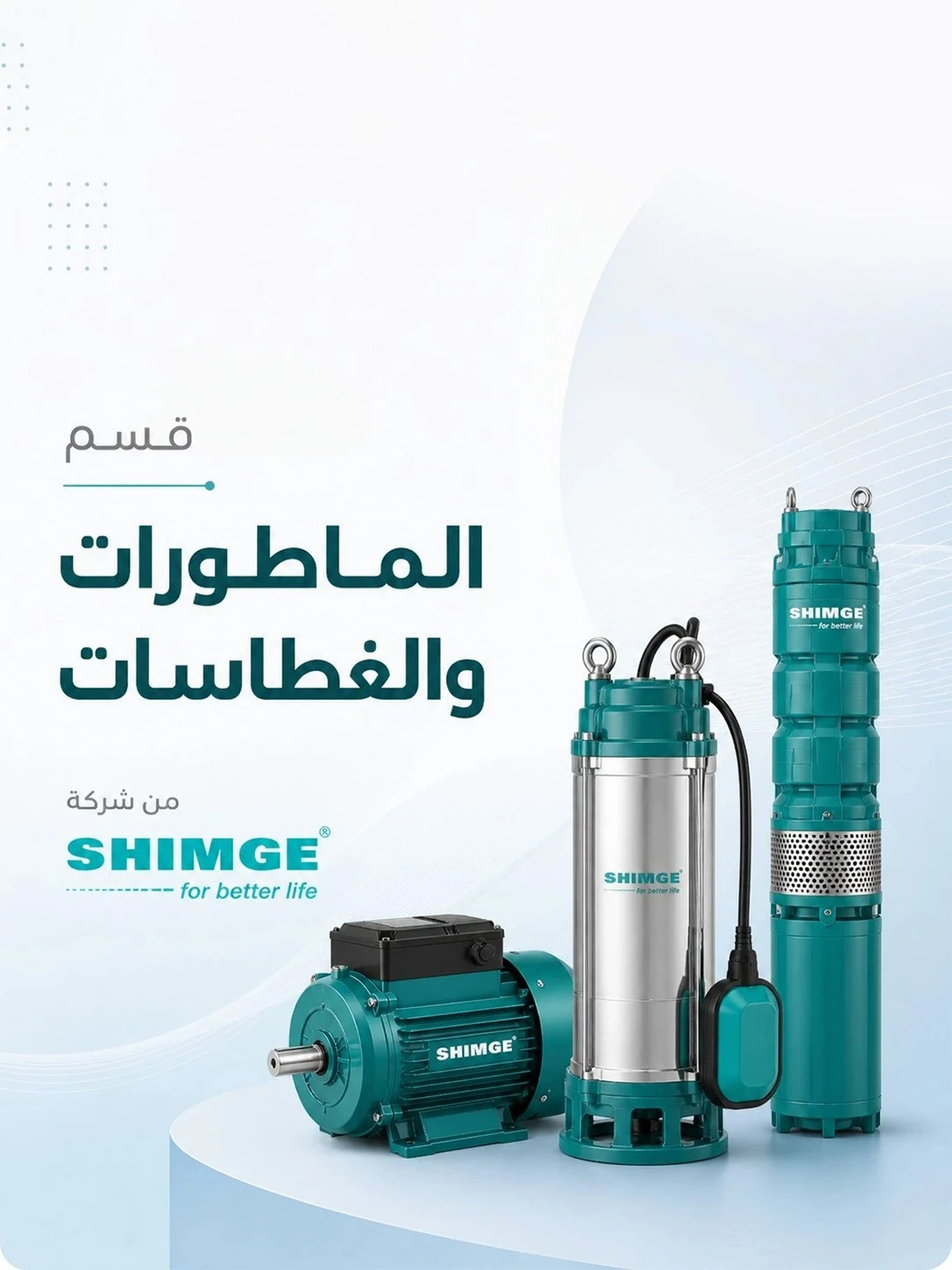 الرئيسية