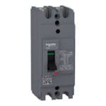 قاطع هوائي شنايدر ثنائي سنكل 2*60 امبير EZC100H2060 Easy9 30KA 2P/2T 60A schneider